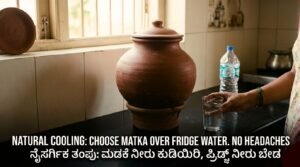 ಬೇಸಿಗೆಯ ಮುನ್ನೆಚ್ಚರಿಕೆ ಕ್ರಮಗಳು: ನೈಸರ್ಗಿಕ ತಂಪು, ಮಣ್ಣಿನ ಮಡಕೆ ನೀರು ಕುಡಿಯಿರಿ, ಫ್ರಿಡ್ಜ್ ನೀರು ಬೇಡ.