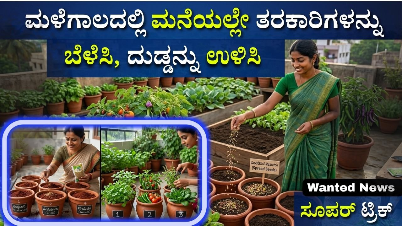 ಮಳೆಗಾಲದಲ್ಲಿ ಮನೆಯಲ್ಲೇ ತರಕಾರಿಗಳನ್ನು ಬೆಳೆಸಿ,